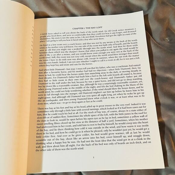 At the Back of the North Wind Classic Children’s Book George MacDonald Like New - Picture 10 of 10